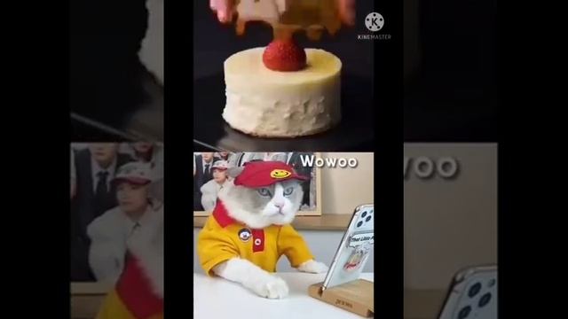 Chef cat changan and That little puff make sugar dome смотреть онлайн