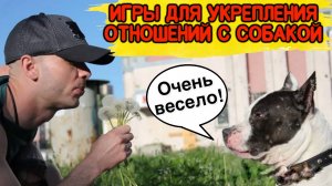Игры для укрепления отношений с собакой.