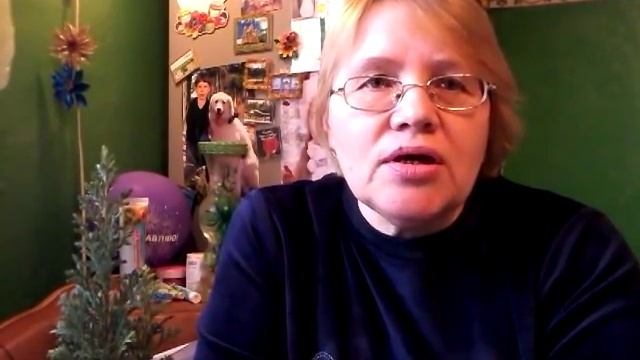 Молоко или мясо?Быстрые деньги или долгосрочные проекты? смотреть онлайн