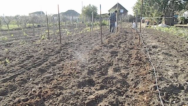 осенняя подкормка малины видео || Чем подкормить малину осенью после сбора урожая и обрезки смотреть онлайн