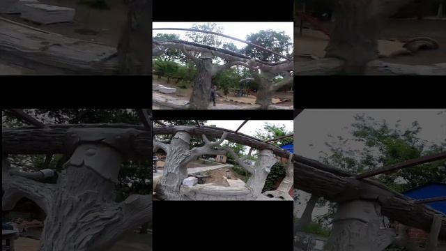 Беседка из арт бетона, в виде деревьев. обзор. смотреть онлайн