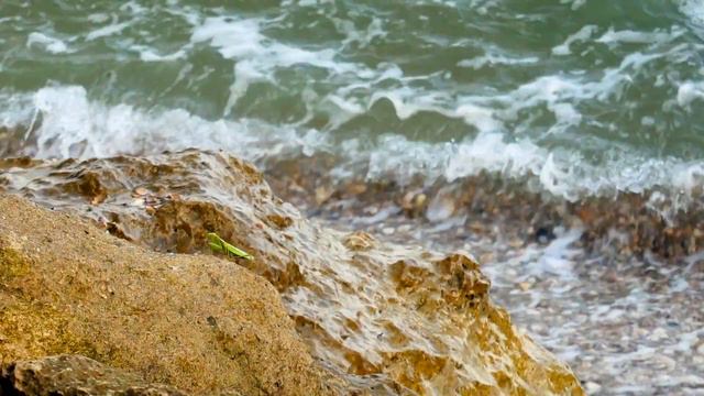 Легкое волнение на Азовском море - Генеральские пляжи смотреть онлайн