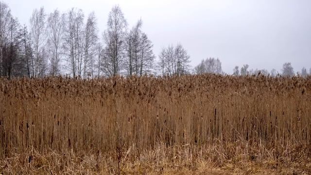 Что бы ни случилось, не теряйте Надежду на Бога! - Гавриил (Ургебадзе) смотреть онлайн