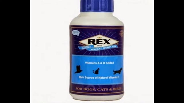 Buy Dog Supplements Online in India смотреть онлайн