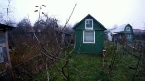 Объемная формировка яблони (чаша). Результаты десятилетней обрезки.