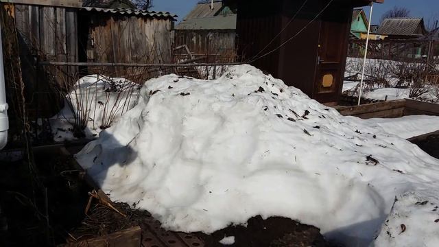 Открытие дачного сезона. Шашлыки. смотреть онлайн