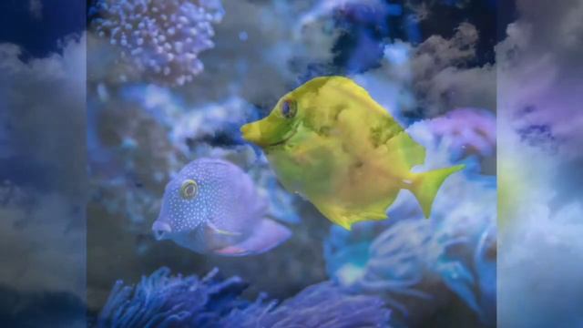 Музыка для медитации. Музыка для релаксации. глубокий сон. смотреть онлайн