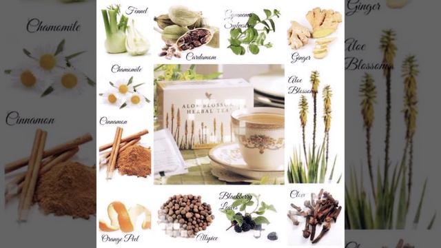Forever Aloe Blossom Herbal Tea смотреть онлайн