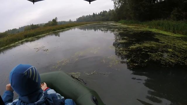 СУДАК НА ЖИВЦА!!! смотреть онлайн