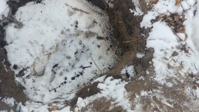 Golden Mask 5+ Тест на Римский Денарий смотреть онлайн