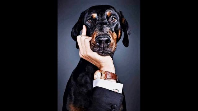 Неожиданная любовь... Современная поэзия. На украинском языке