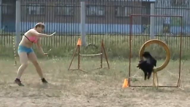 Оксана и метис Джессика ( ЧСФО по аджилити) смотреть онлайн