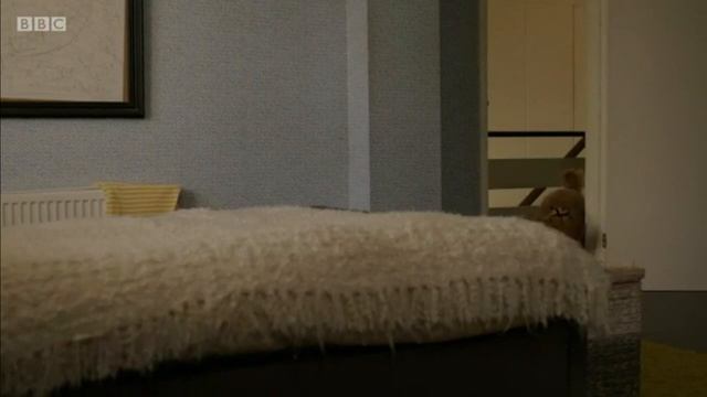 Waffle the Wonder Dog Series 4 Episode 7 Waffle and Benji смотреть онлайн