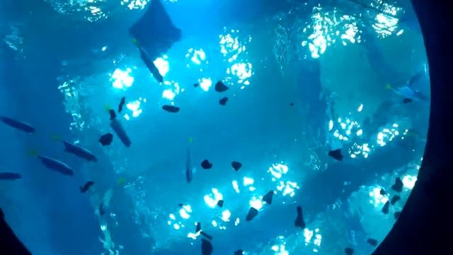 Прозрачный потолок смотреть онлайн