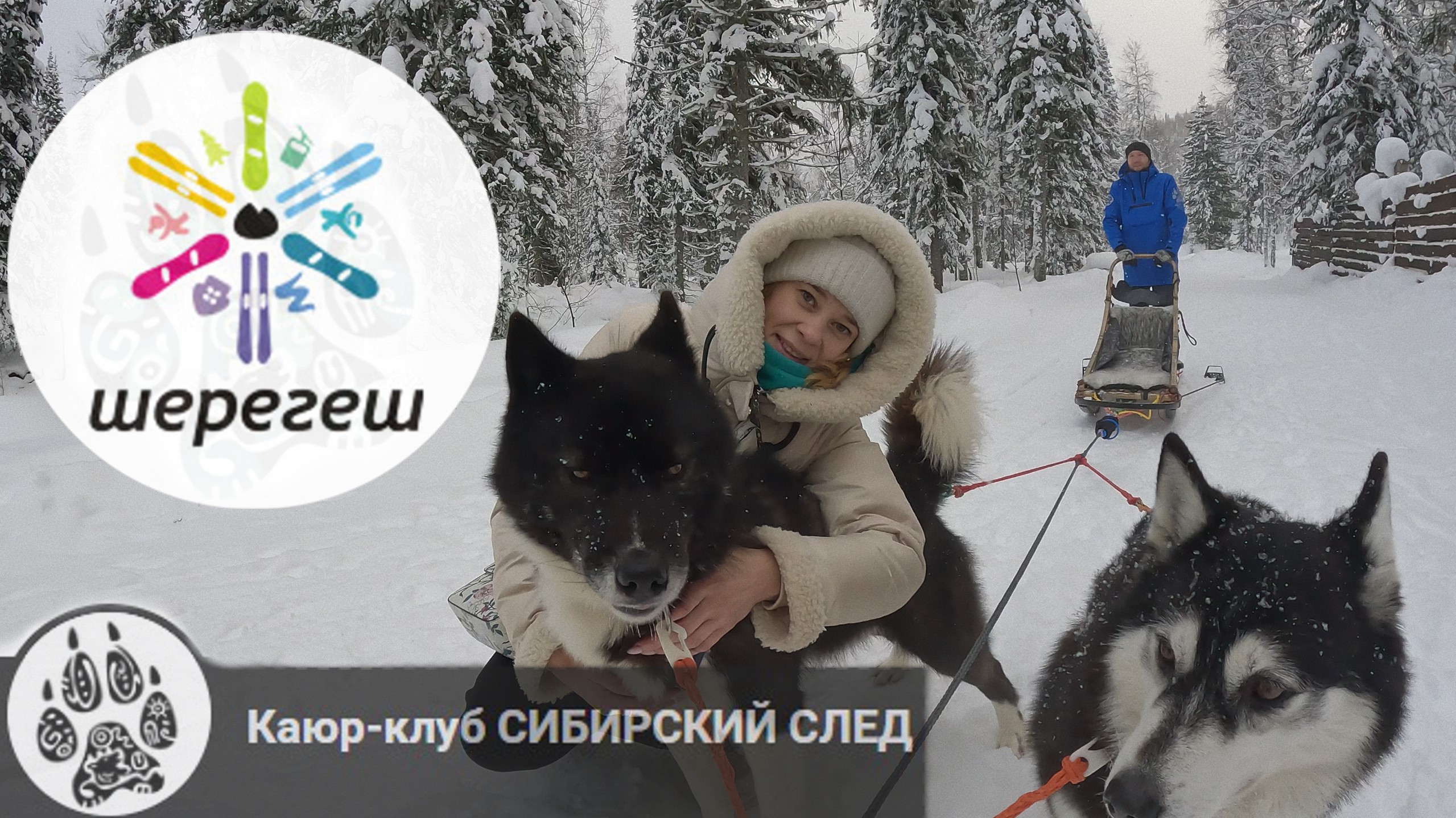Шерегеш. Хаски-Парк. Сектор Е. Катание на упряжках. смотреть онлайн