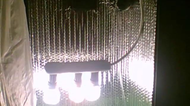 Cash Crop 4.0 Instructional Video Guide With Water Change смотреть онлайн