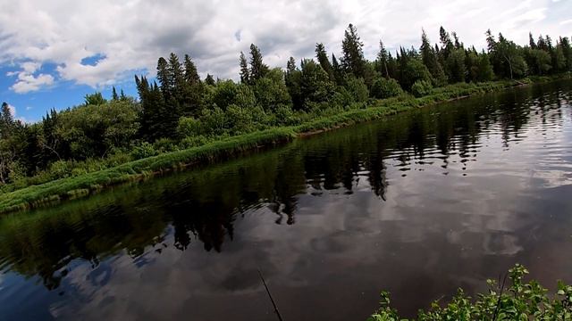 Рыбалка на ульралайт Cortex и поплавок Hunter Pro 600 на реке Salmon River, New Brunswick, Canada. смотреть онлайн