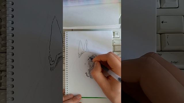 Рисунок Собаки Боксера с 0 за 21 минуту/ Drawing of a Boxer Dog from 0 in 21 minutes смотреть онлайн