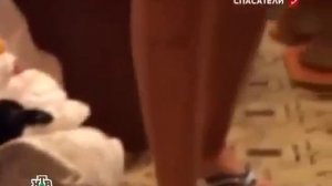 Злой кот   Angry cat