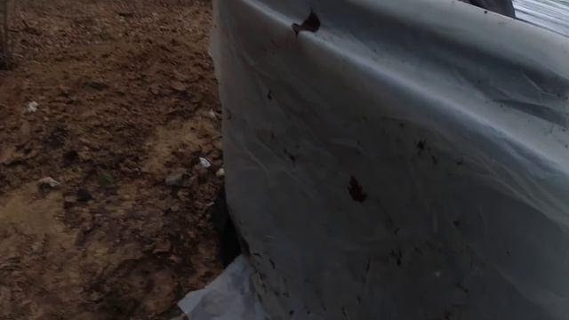 ✅НЕЛЕГАЛЬНОЕ ВЫЖИВАНИЕ В ЧЕРНОБЫЛЕ ❗❗ строю землянку смотреть онлайн