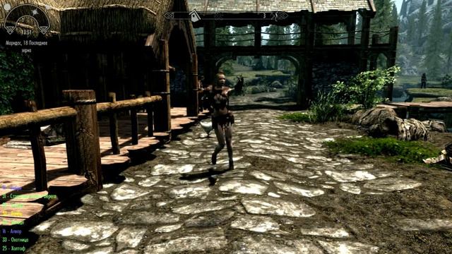 Skyrim Dance TESV V6 Robotebobot смотреть онлайн