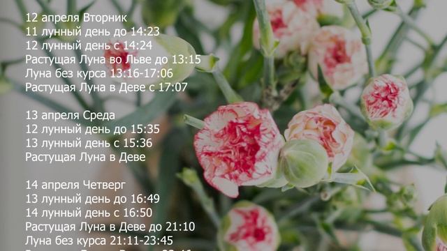 Лунный Календарь на Апрель 2022 года смотреть онлайн