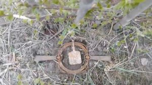 КАК ПОЙМАТЬ ЗАЙЦА НА СОЛЬ   HOW TO CATCH A HARE FOR SALT