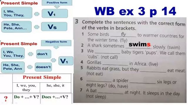 English 5 grade Lesson 14 смотреть онлайн