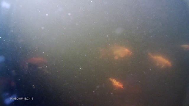 ЛОГО Парк Каменск смотреть онлайн