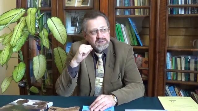 Птицы в городе. Экологический аспект. Часть 2 смотреть онлайн
