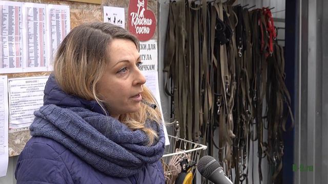 Приют "Красная сосна" смотреть онлайн