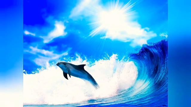 Sergey Grischuk–Ocean Secrets смотреть онлайн