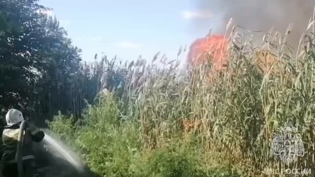В Астраханской области вновь полыхает сухая растительность смотреть онлайн