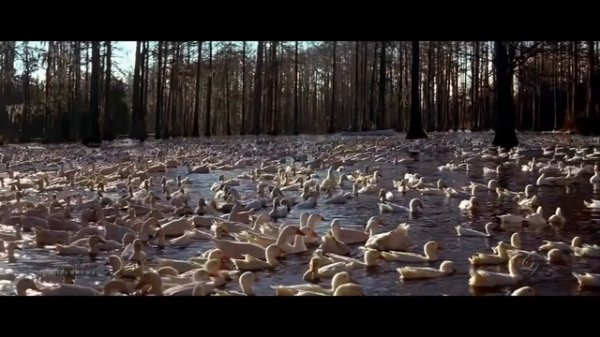 Goran Karan - Stay With Me