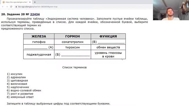 "Невнимательные ошибки", Разбор ошибок, которые допускается не из-за знаний. смотреть онлайн