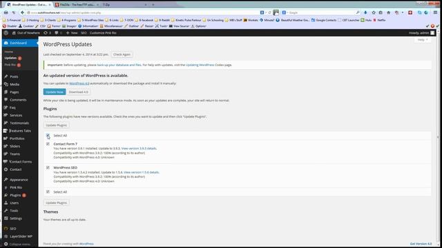 Update WordPress Website смотреть онлайн