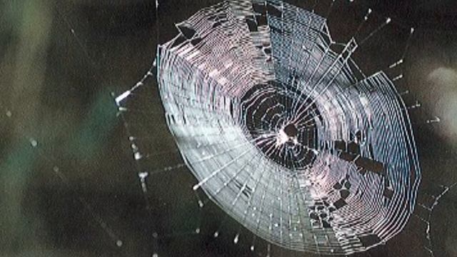 Разные Сны..... смотреть онлайн