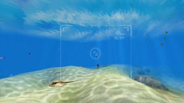 Sealife Safari - Episode 1: First Dive