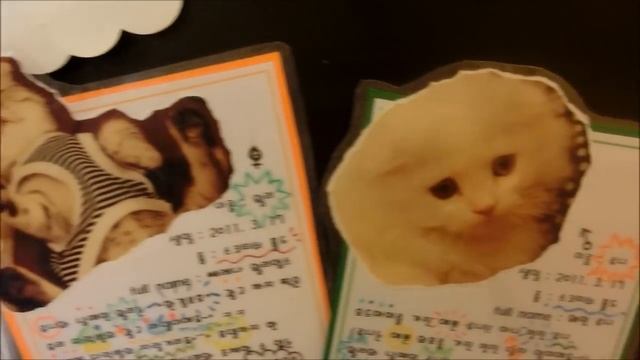 CAT CAFE IN SEOUL, SOUTH KOREA - Kitty Café In Hongdae (고양이 다락방)