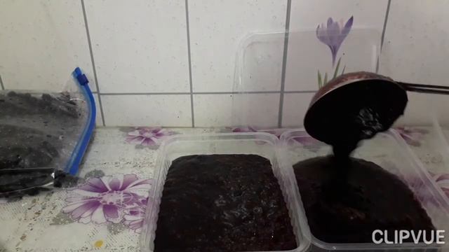 ЧЕРНИКА, ЯГОДКА НЕЖНАЯ, ВКУСНАЯ. смотреть онлайн