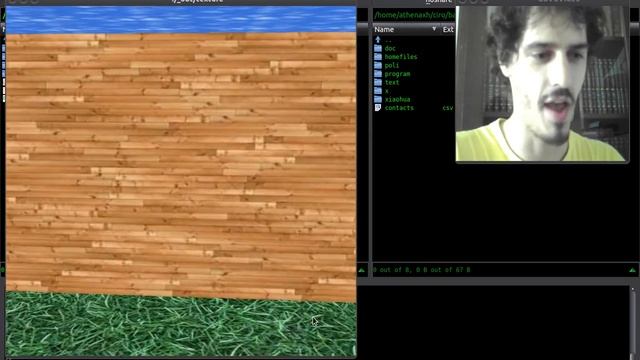 First person OpenGL walled garden mini demo with texture images loaded with OpenCV смотреть онлайн