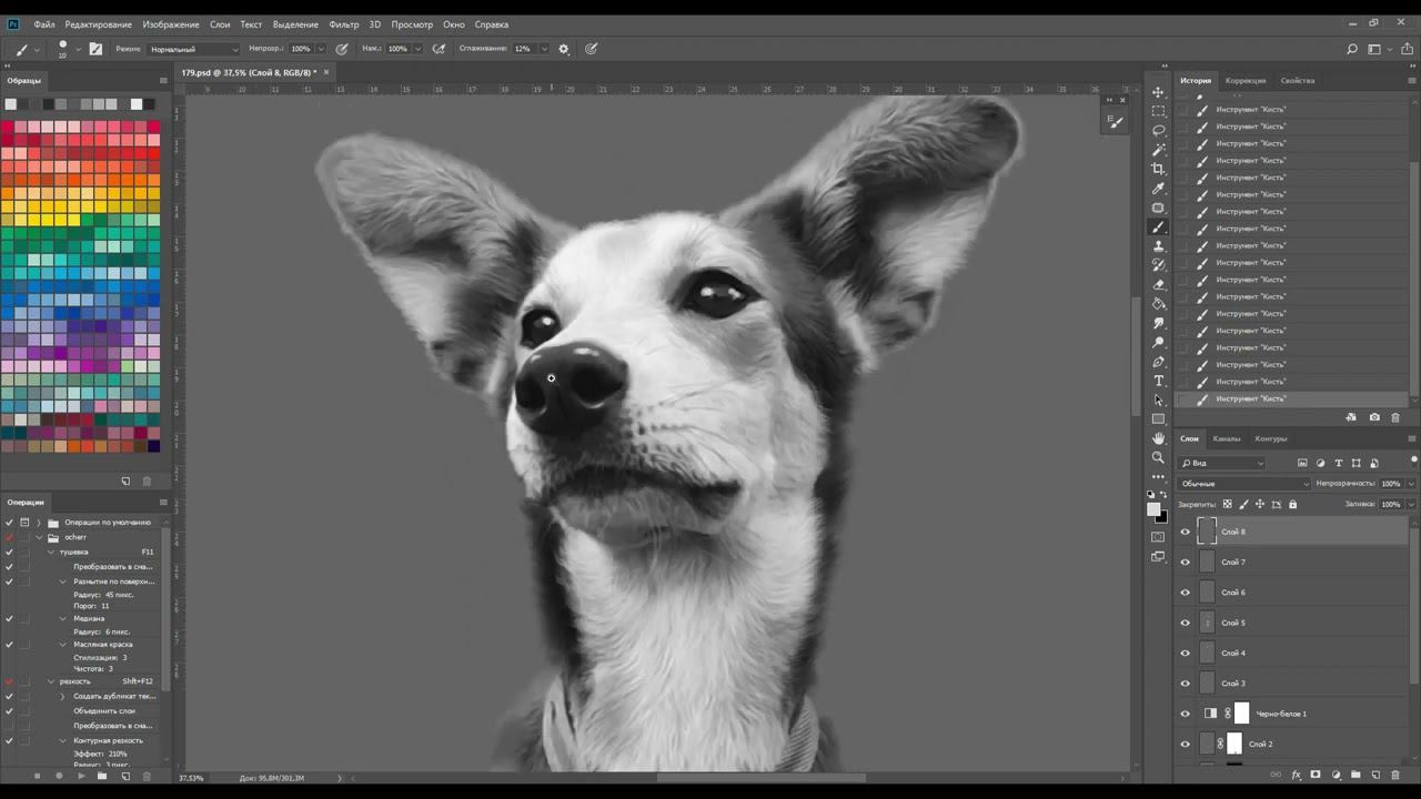 Художественная обработка фото с животным смотреть онлайн