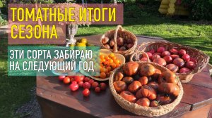 Обзор сортов томатов этого сезона: какие я возьму на будущий год и почему, а от каких точно откажусь