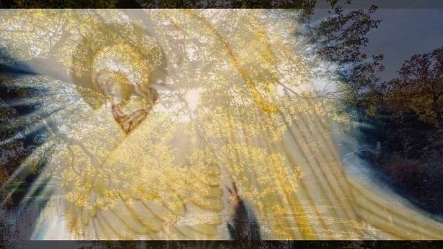 Почему Ангел Хранитель может удалиться от нас? Когда мы получаем от Бога Ангела ? Советы Старца смотреть онлайн