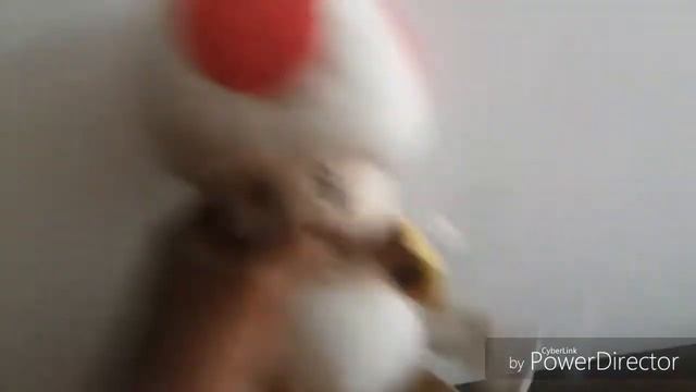 Toad rap schedule смотреть онлайн