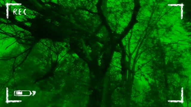 ОДИНОКАЯ ЧАСОВНЯ СТРАШНАЯ ИСТОРИЯ ИЗ ИНТЕРНЕТА ЧТО БУДЕТ ПОСЛЕ АПОКАЛИПСИСА Страшилки на ночь смотреть онлайн