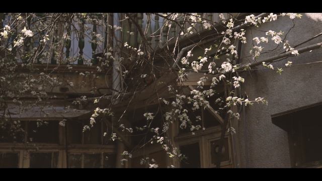 Music ☯️ Soul Mind Relaxation ❤️ Meditation Healing therapy 😻🎧🙏 смотреть онлайн