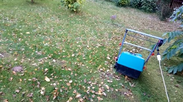 Как я использую Аэратор Скарификатор  BOSH AVR110