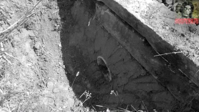 Истории на ночь - Белые псы смотреть онлайн