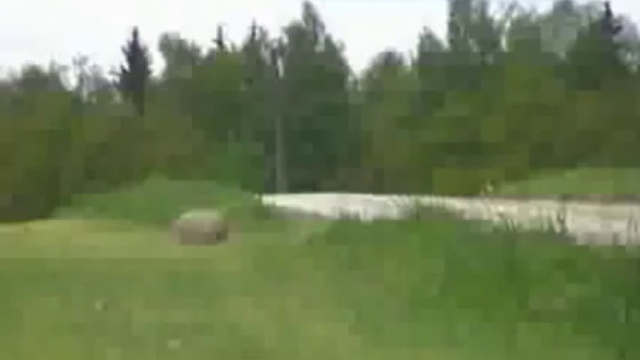 аварии на рали